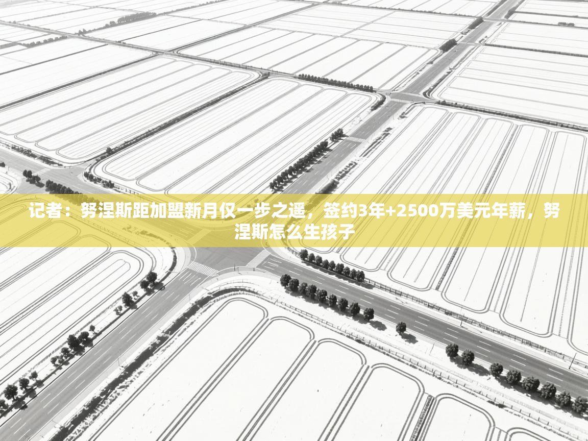 记者：努涅斯距加盟新月仅一步之遥，签约3年+2500万美元年薪，努涅斯怎么生孩子  第1张