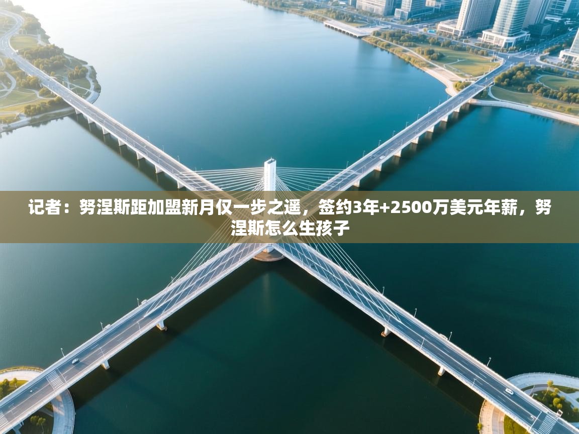 记者：努涅斯距加盟新月仅一步之遥，签约3年+2500万美元年薪，努涅斯怎么生孩子  第2张