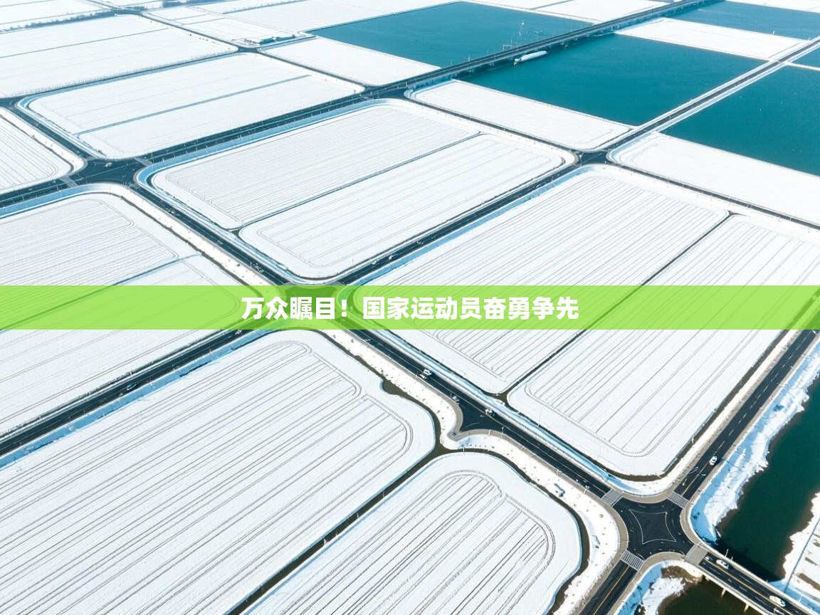 万众瞩目！国家运动员奋勇争先  第1张