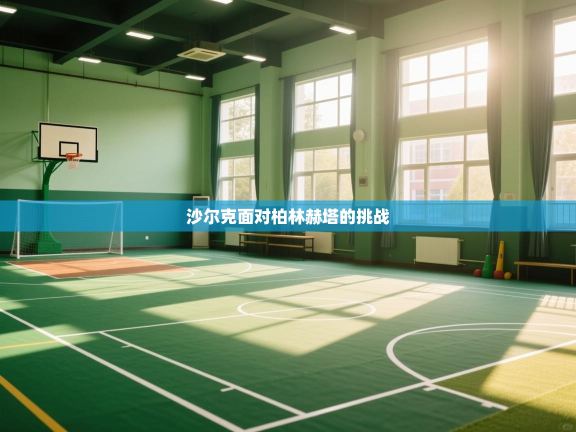 沙尔克面对柏林赫塔的挑战 第1张