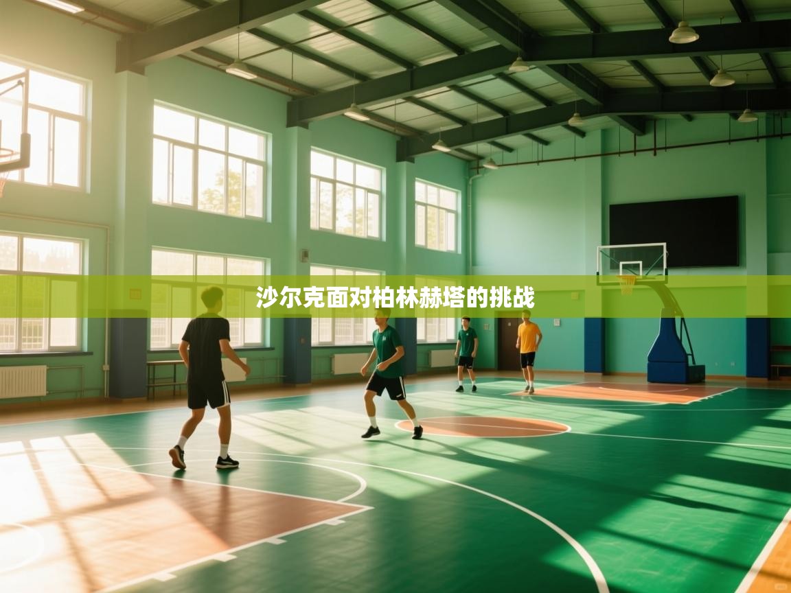 沙尔克面对柏林赫塔的挑战 第2张