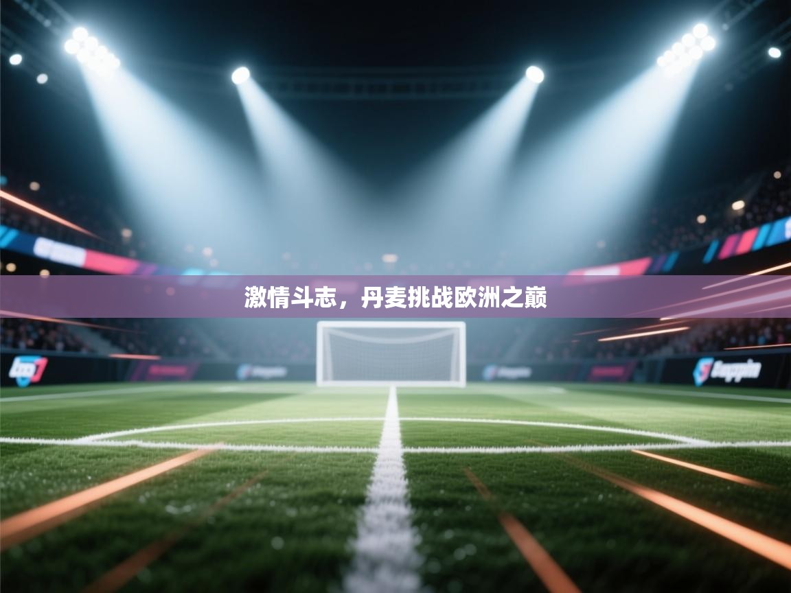 激情斗志，丹麦挑战欧洲之巅  第2张