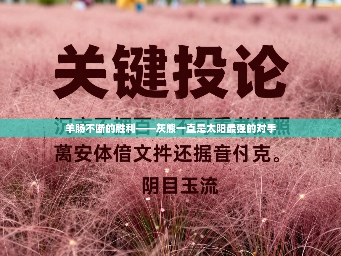 羊肠不断的胜利——灰熊一直是太阳最强的对手 第1张