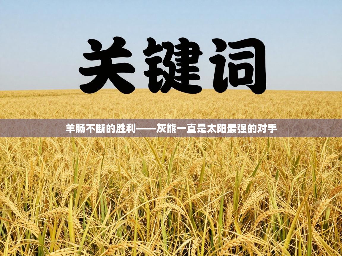 羊肠不断的胜利——灰熊一直是太阳最强的对手 第2张